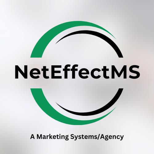 NetNetEffectMS